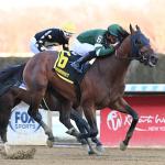 Favored Iron Honor Joins the Derby Trail with Gotham Stakes Win at Aqueduct